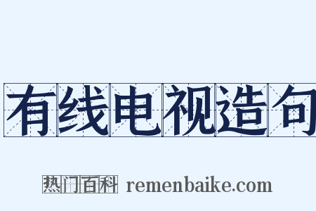有线电视造句是什么意思的图片